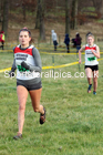 Womens under-17s and under-20s cross country, 2019 North Eastern Cross Country Champs., Alnwick, Northumberland.  Photo: David T. Hewitson/Sports for All Pics
